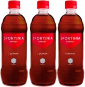 Заказать Вода Питьевая Sportinia Guarana Energy 500 мл N