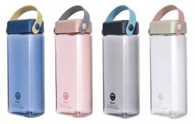 Заказать Diller Бутылка для воды D33 500 мл